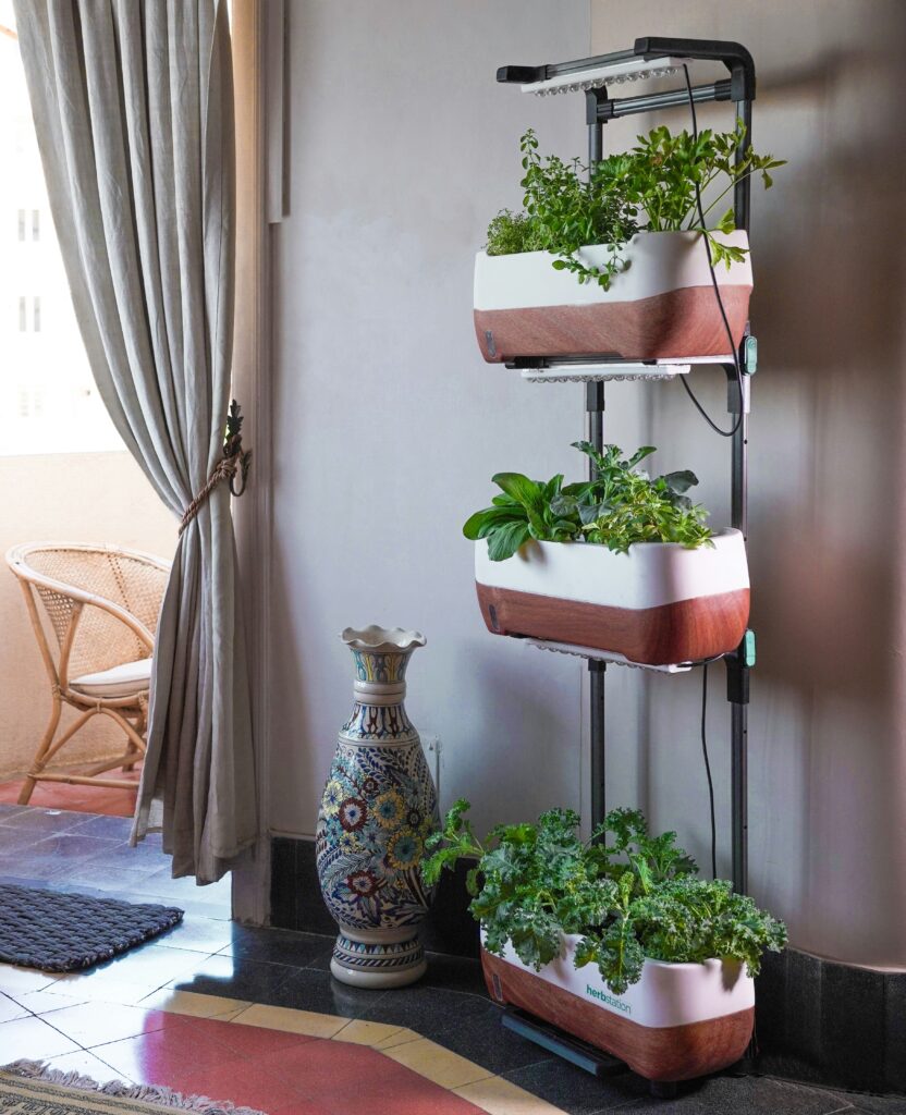 The Benefits of Vertical Gardening and How to Get Started