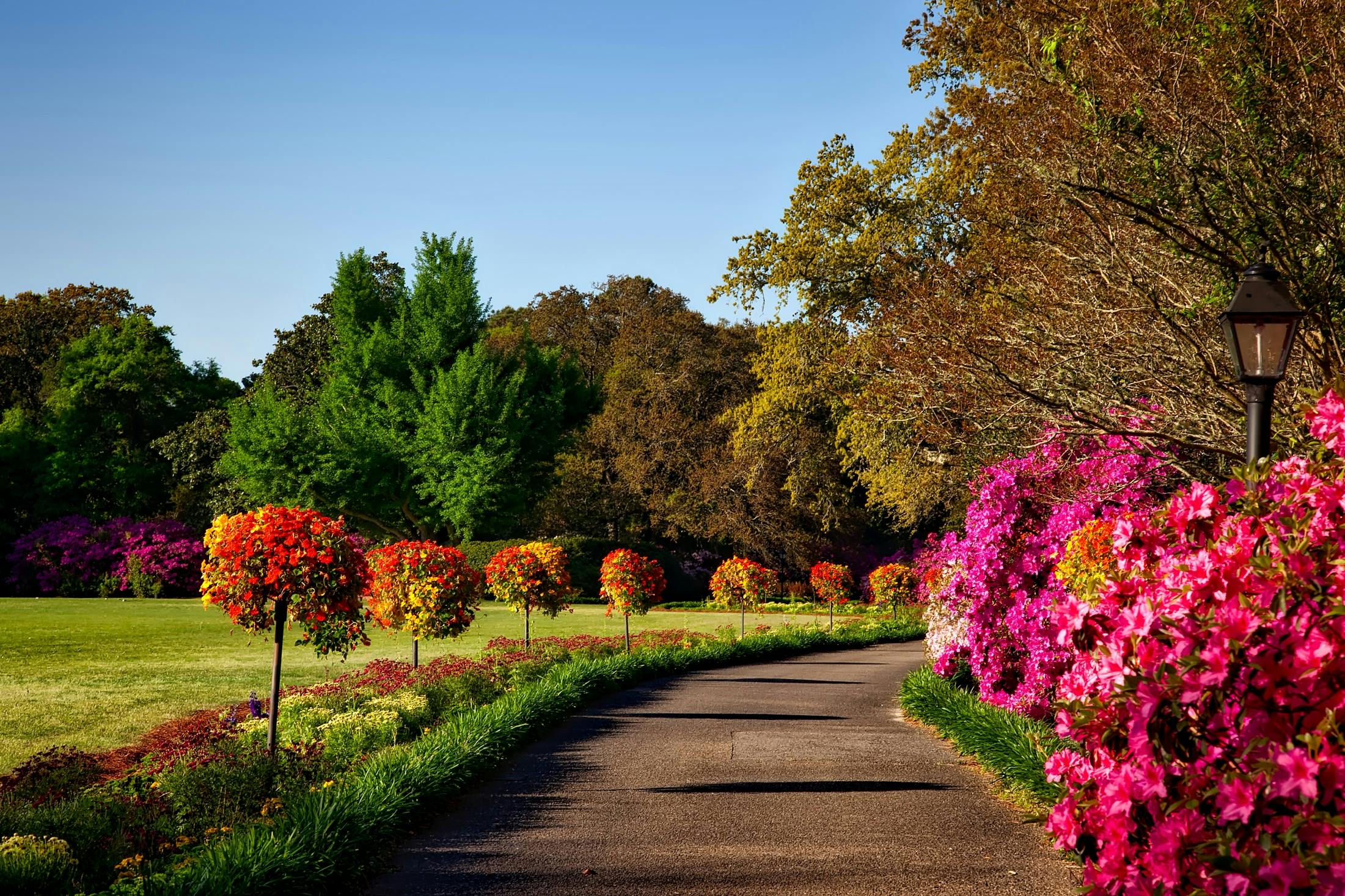 Creating a Low-Maintenance Garden: Tips and Tricks